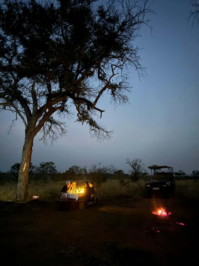 Hoedspruit: Dinner in the Bush & Safari Game Drive - Practical checklist before you go, so you are not scrambling at dusk
