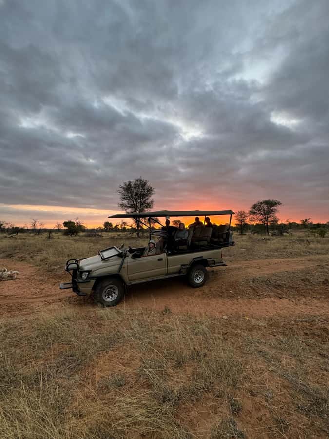 Hoedspruit: Dinner in the Bush & Safari Game Drive - Exclusive Greater Kruger reserve drive, and how the 2.5 hours plays out