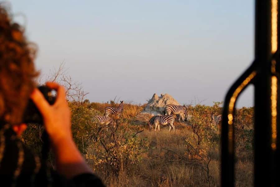 Hoedspruit: Full Day in ICONIC Kruger National Park - Key things I think you should know