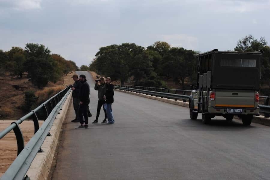 Hoedspruit: Full Day in ICONIC Kruger National Park - Should You Book This Hoedspruit to Kruger Full Day?