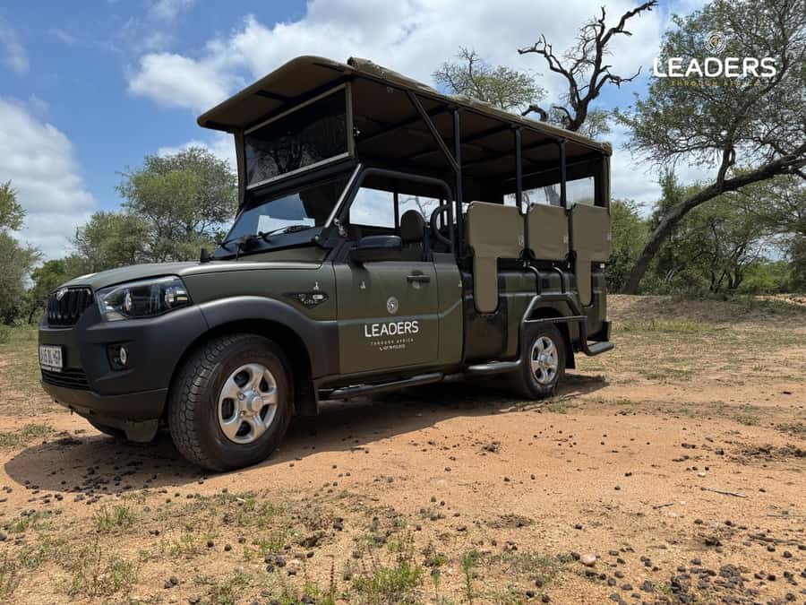 Hoedspruit: Private Kruger National Park Full-Day Safari - Key highlights you should care about