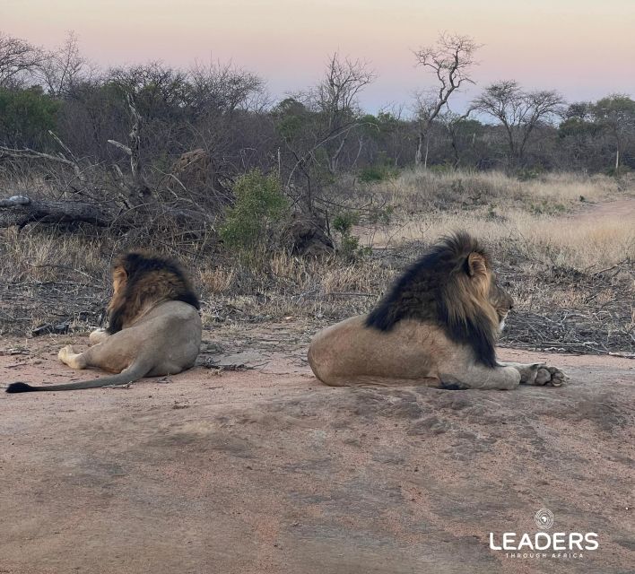 Hoedspruit: Private Kruger National Park Full-Day Safari - Comfort matters: what’s included (and what you need to cover)