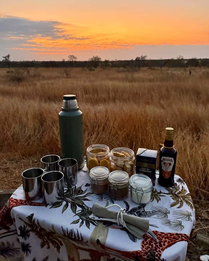 Hoedspruit: Sunrise Safari in Greater Kruger Private Reserve - Private reserve near Hoedspruit, not the crowds of Kruger