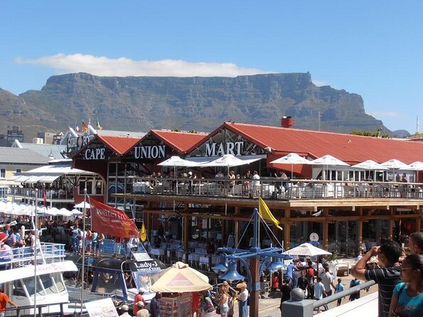 Hop-On Hop-Off Cape Town Canal Cruise - Key highlights to know before you go