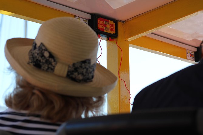 Hop-On Hop-Off Cape Town Canal Cruise - When this cruise works best, and when it might not