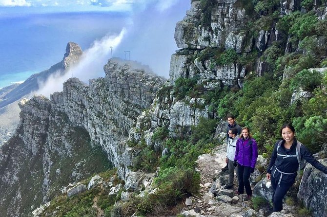India Venster: sensational half-day route up Table Mountain - Key Things That Make the India Venster Hike Worth Your Time