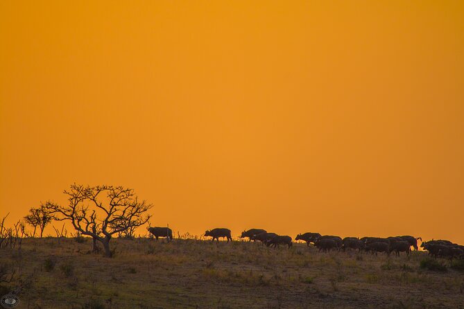 iSimangaliso Sunset Game Drive - Why iSimangaliso’s Eastern Shores sunset is worth your evening