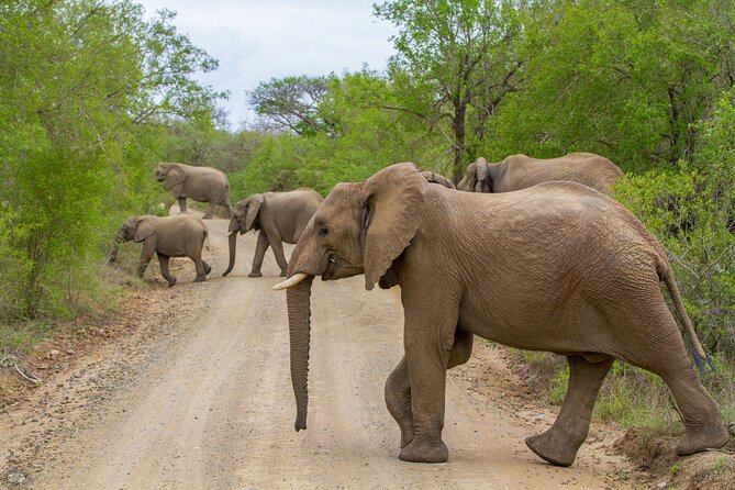 iSimangaliso Sunset Game Drive - The 3-hour flow: from St Lucia pickup to a real sunset pause