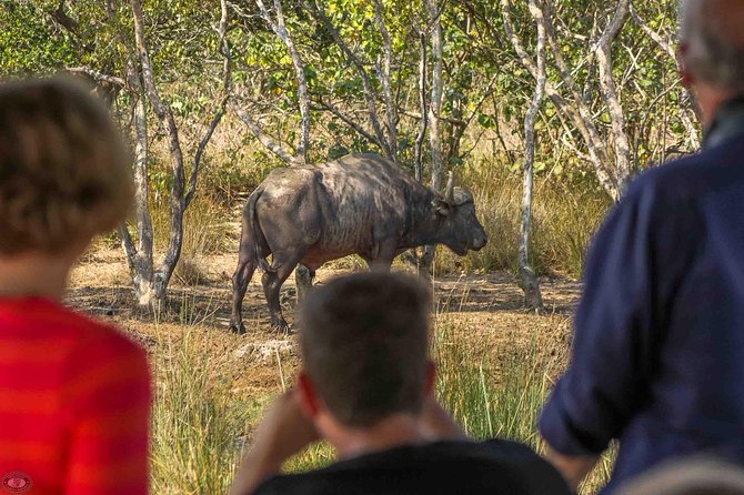 iSimangaliso Wetland Park, Full Day Tour - iSimangaliso in One Day: The UNESCO Wetland Experience You Can Actually Time