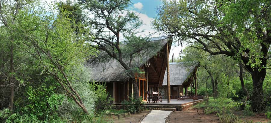 Johannesburg: 2-Day 4-Star Pilanesberg Safari - Animals You May Spot Beyond the Big Five