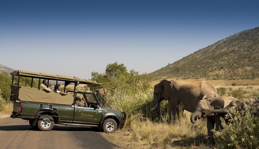 Johannesburg: 2-Day 4-Star Pilanesberg Safari - Conservation Fees at the Gate: Plan for This Extra Cost