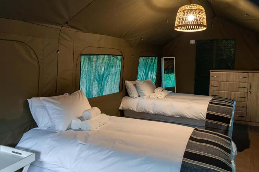 Johannesburg: 3-Day Kruger Budget Glamping Safari - Why this 3-day Kruger budget glamping safari feels like good value