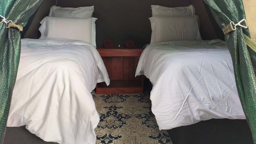 Johannesburg: 3-Day Pilanesberg Camping Adventure - Day 1 Safari: closed vehicle up close, then an open 4x4 afternoon