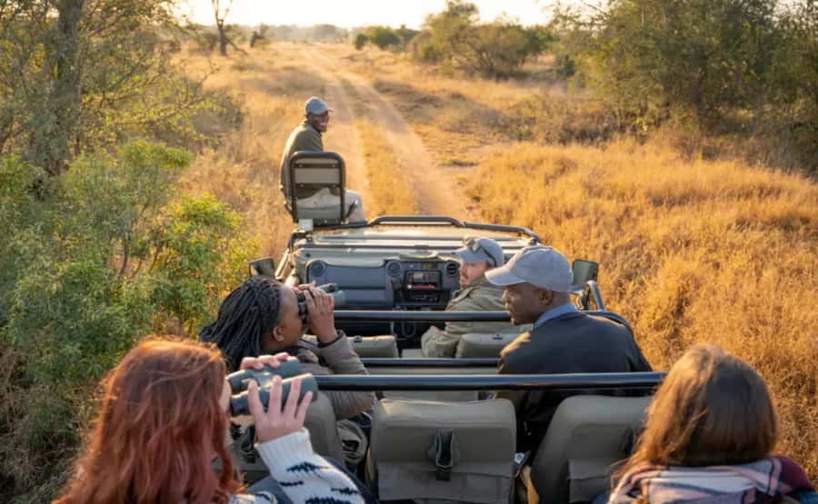 Johannesburg: 3-Day Pilanesberg Camping Adventure - Big Five odds: how to think about sightings in Pilanesberg