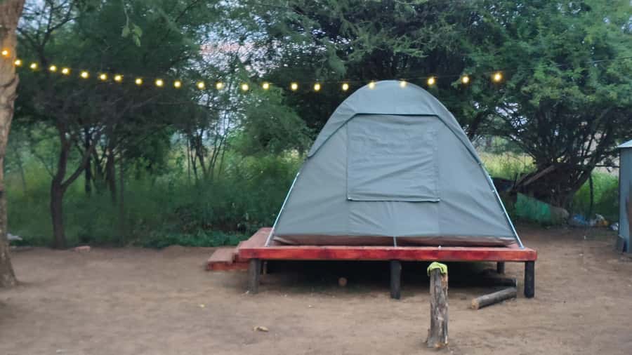 Johannesburg: 3-Day Pilanesberg Camping Adventure - Getting from Johannesburg to Tlou Tented Safari Camp, without wasting a day