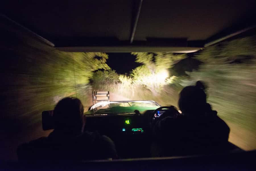 Johannesburg: 4-Day Classic Kruger National Park Safari - Balule Big Five Reserve drives: what those open-air hours really feel like