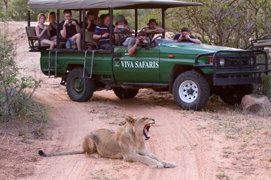 Johannesburg: 4-Day Classic Kruger National Park Safari - Day Two bush walk: big-animal tracking with armed rangers
