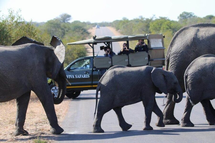 Johannesburg: 4-Day Classic Kruger National Park Safari - Price and value: what $1,120 covers, and what you should budget extra