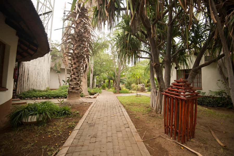 Johannesburg: 4-Day Classic Kruger National Park Safari - Who this safari suits best, and who might want a different style