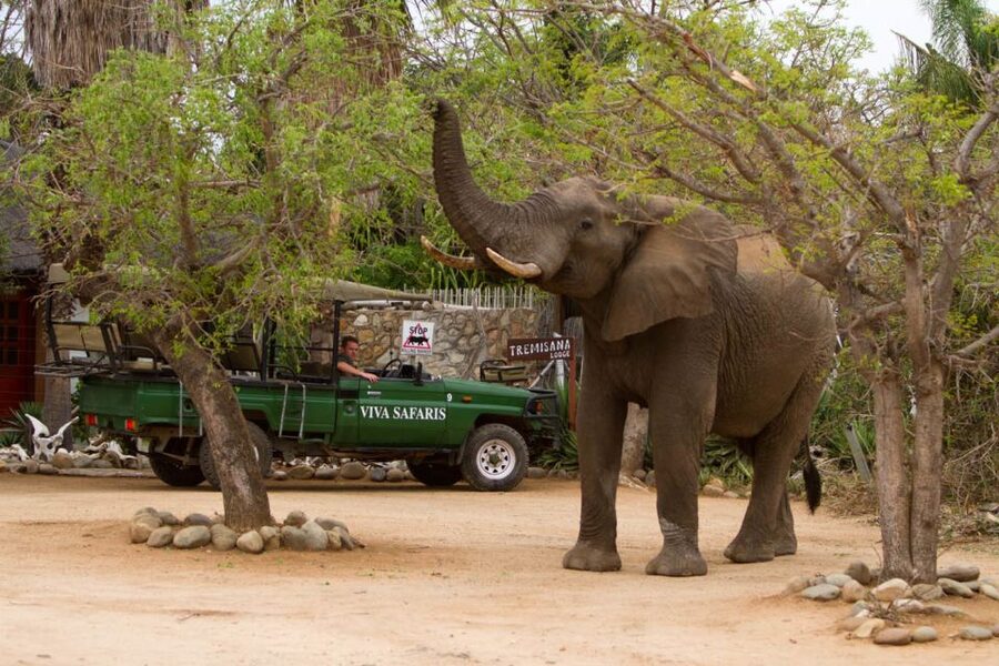 Johannesburg: 5-Day Classic Kruger National Park Safari - Price and value: what you’re really paying for