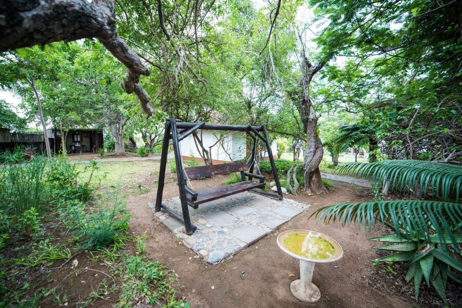 Johannesburg: 5-Day Classic Kruger National Park Safari - Day 3 Orpen Gate to Kruger, open-sided game viewing without glass