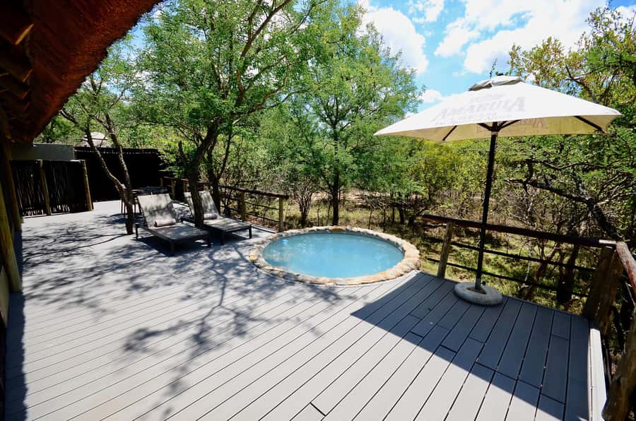 Johannesburg: 6-Day Luxury Kruger National Park Safari - Price and Value: What About $1,868 Is Paying For