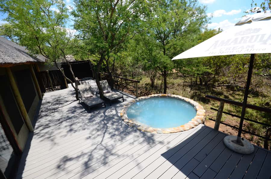 Johannesburg: 6-Day Luxury Kruger National Park Safari - Moving to Katekani: Comfort Upgrade and Another Chance at Sundowners