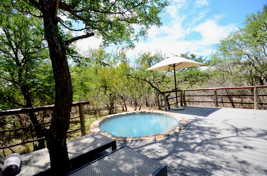 Johannesburg: 6-Day Luxury Kruger National Park Safari - Kruger From Orpen Gate: A Full Day for Wildlife and Birds