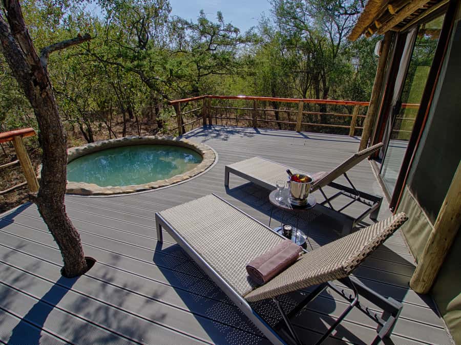 Johannesburg: 6-Day Luxury Kruger National Park Safari - Moholoholo Rehabilitation Centre: Conservation That Feels Real