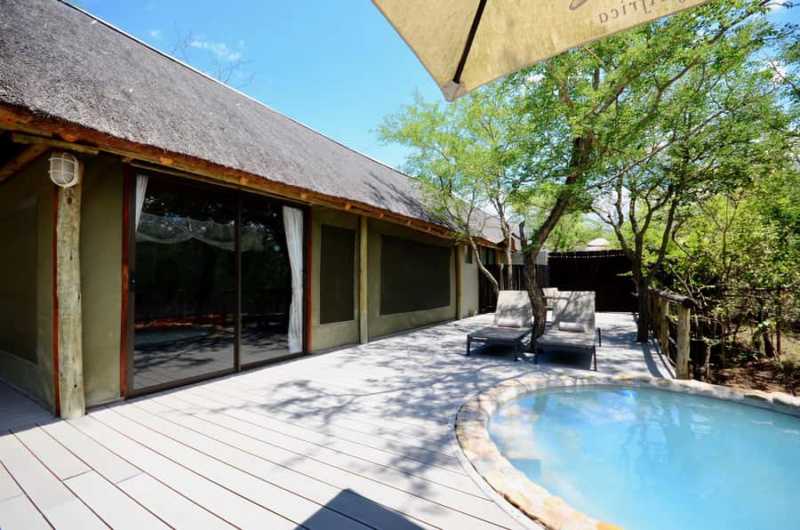 Johannesburg: 6-Day Luxury Kruger National Park Safari - Second Kruger Full Day: Build Patterns, Then Break Them