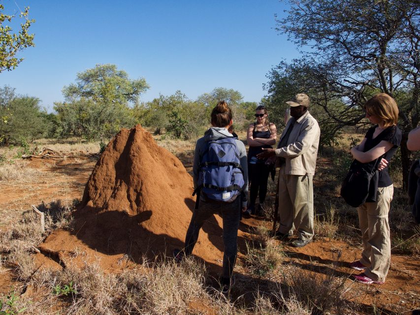 Johannesburg: 6-Day Luxury Kruger National Park Safari - Panoramic Views on the Way Back: Blyde River Canyon and Three Rondawels