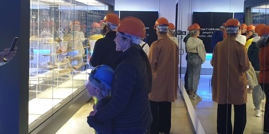 Johannesburg: Cradle of Human Kind & Lesedi Cultural Village - Should you book this Johannesburg day trip?