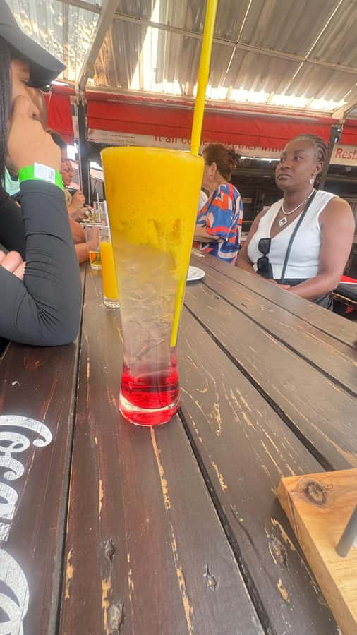 Johannesburg: Cradle of Humankind & Harties Aerial Cableway - How the day flows with hotel pickup and return