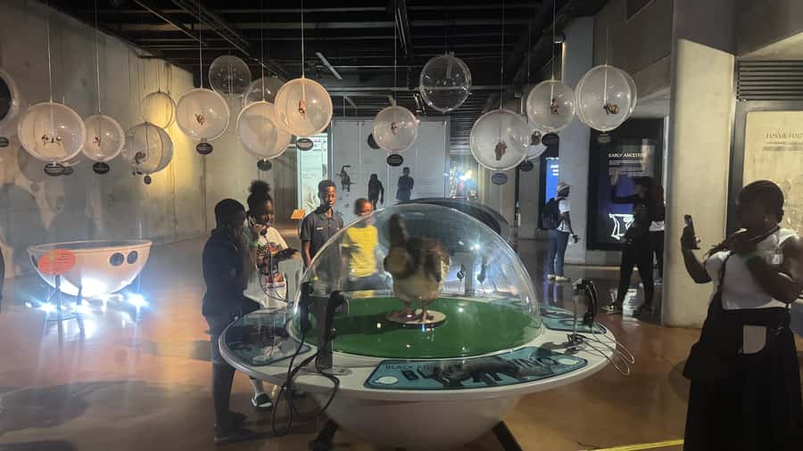 Johannesburg: Cradle of Humankind & Harties Aerial Cableway - Who this tour is best for, and who should think twice