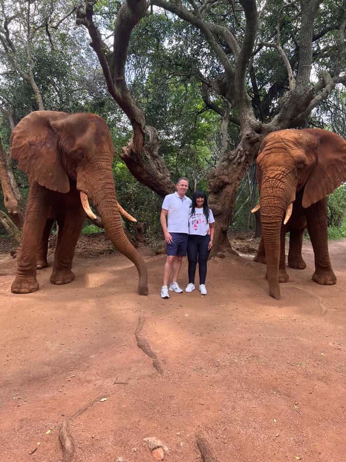 Johannesburg: Elephant and Monkey Sanctuary Half Day Tour - What You Should Bring for a Smooth Wildlife Morning
