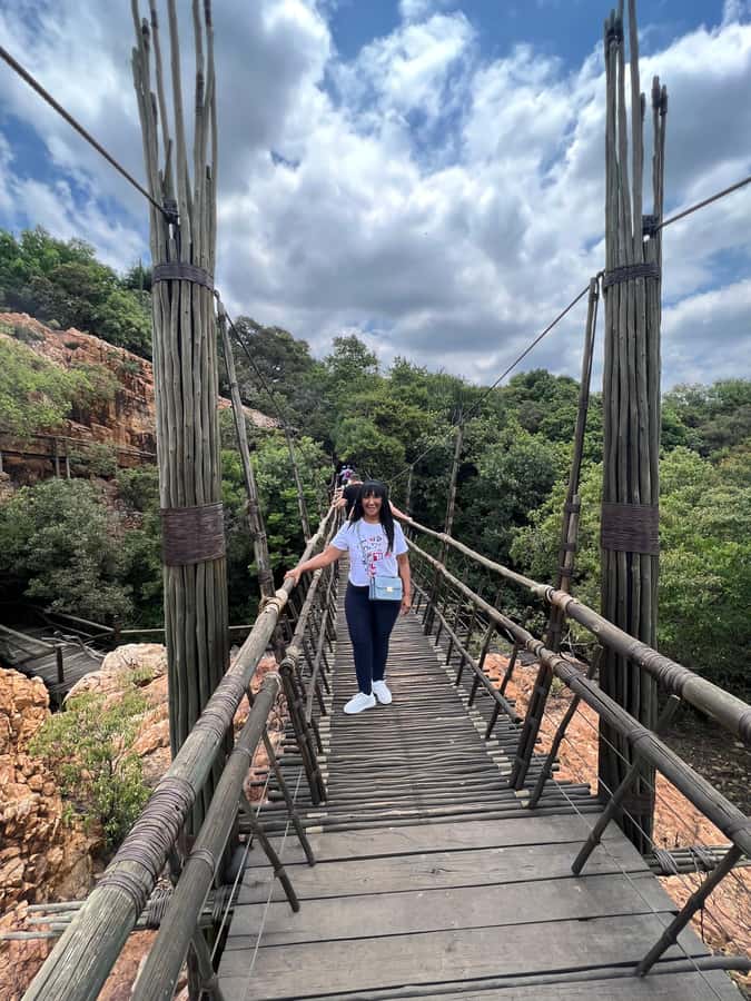 Johannesburg: Elephant and Monkey Sanctuary Half Day Tour - Elephant Sanctuary, 10:00 to 12:00: Learning and Feeding Up Close