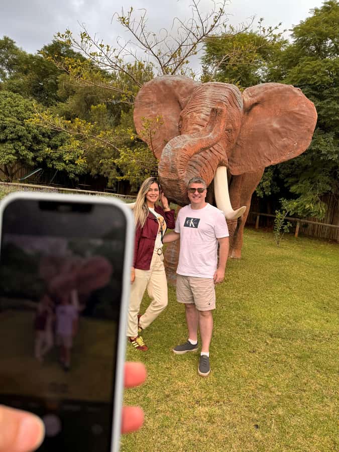 Johannesburg: Elephant and Monkey Sanctuary Half Day Tour - Pacing, Comfort, and What a 6-Hour Half-Day Feels Like