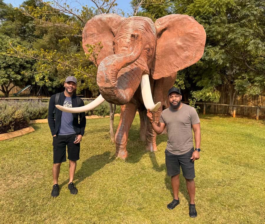 Johannesburg: Elephant and Monkey Sanctuary Half Day Tour - Price and Value at $235 per Person