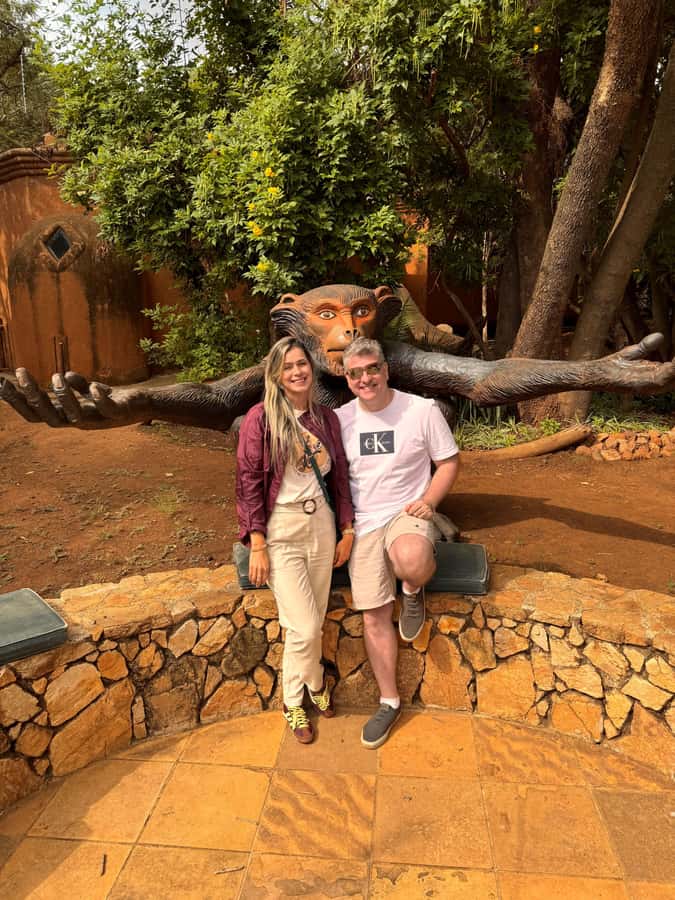 Johannesburg: Elephant and Monkey Sanctuary Half Day Tour - Who This Tour Suits Best (and Who Should Skip It)