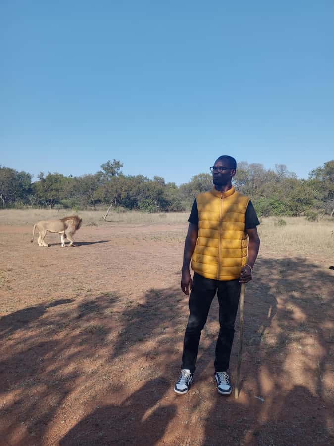 Johannesburg: Guided Walk with Lions in the African Bush - The drive experience: comfort, timing, and small annoyances