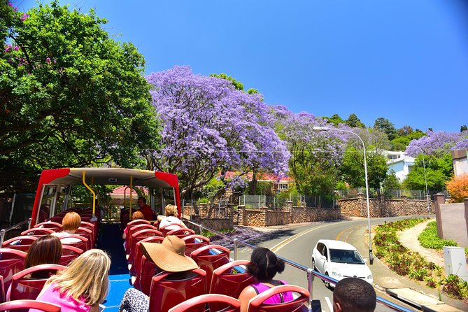 Johannesburg Hop-On Hop-Off City Tour with Soweto Option - Soweto in 2 Hours: What You Get from the Small-Group Extension