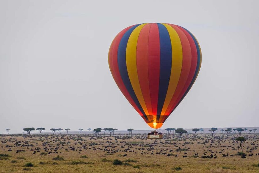 Johannesburg: Hot Air Balloon Flight - Key Things to Know Before You Go