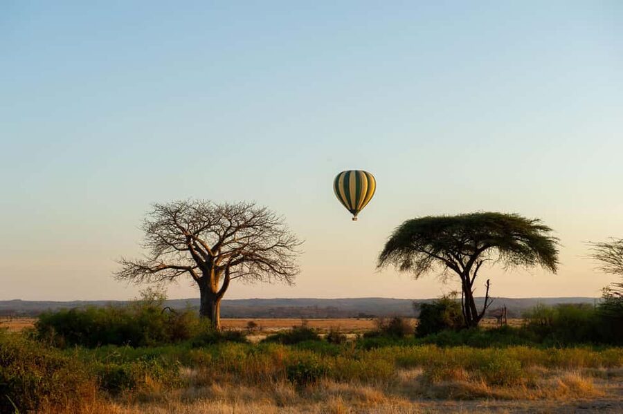 Johannesburg: Hot Air Balloon Flight - The Morning Flow: Pickup, Pre-Flight Tea, and Getting Ready