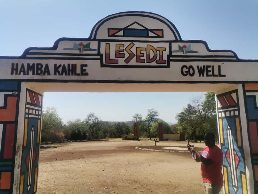 Johannesburg: Lion Park Safari and Cultural Village Tour - Best fit: who this tour suits (and who might want something else)