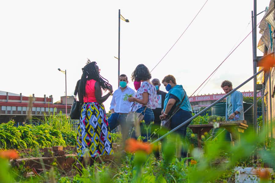 Johannesburg: Pan-African Cooking & Dinning Experience - Key things to know before you go