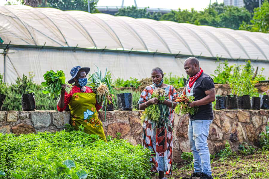 Johannesburg: Pan-African Cooking & Dinning Experience - Price and Value at About $102 per Person