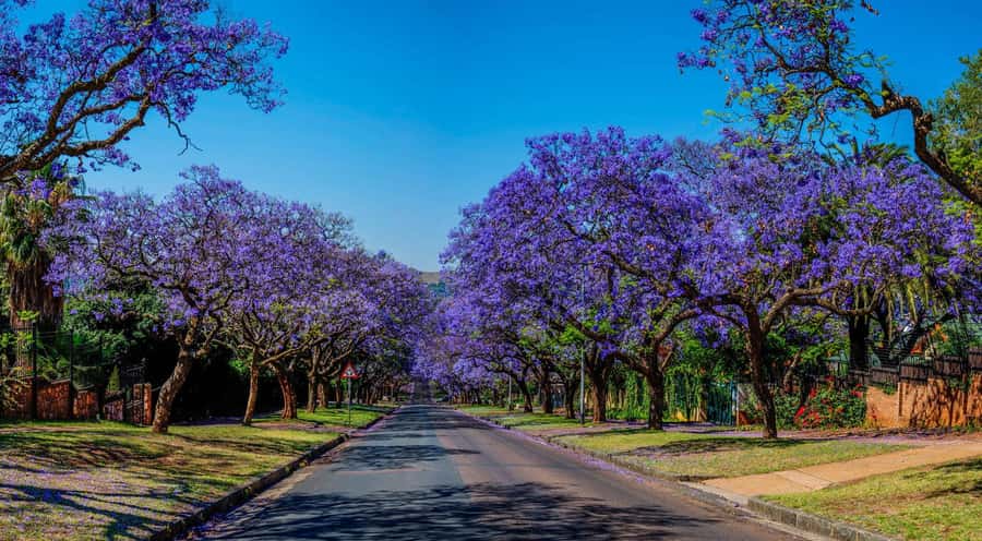 Johannesburg: Pretoria and Cullinan Diamond Mine Tour - Getting from Johannesburg: the comfort factor and the time you have