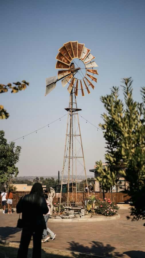 Johannesburg: Private Walking Tour with a Local - Key points before you go