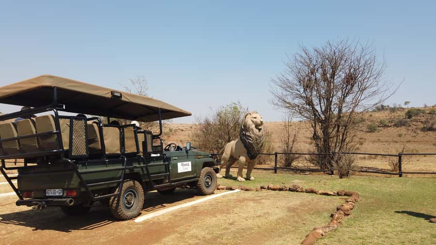 Johannesburg: Rhino and Lion Nature Reserve Safari - Should you book the Johannesburg Rhino and Lion Nature Reserve Safari?