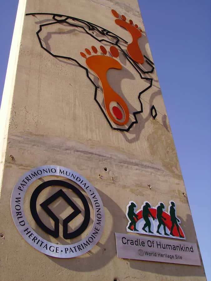 Johannesburg: Soweto, Apartheid Museum, and Cradle tours - Key things that make this tour work